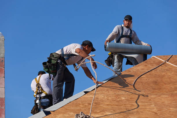 Best Commercial Roof Installation  in Dayton, TN