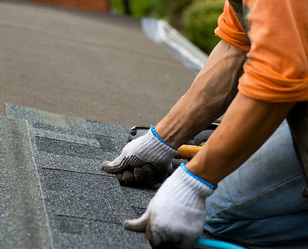 Professional Roofing Contractor in Dayton, TN