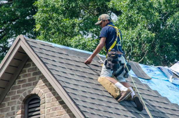 Best Gutter Installation and Roofing  in Dayton, TN